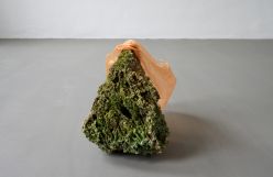 Zahme Tüte, Bemooster Spagetti stein, Sprühlack mit Plastiktüte (Mit Wassersprüher), 40x63x30cm, 2021