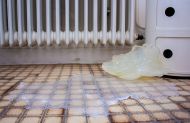 Apartment Group Show, Installationsdetail, Seife und Chanel No5 18x30x20cm (Pilzimitat und Seifenlaache), Apartment 19, Karlsruhe 2016