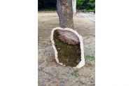 Brummagem Farm, Installationsdetail, Granit und Moos 55x40x20cm, Daegu, Südkorea ©Verena Schmidt