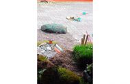 Brummagem Farm, Installationsansicht, Blick von Innen nach Außen, diverse gefundene und wachsende Materialien ©Verena Schmidt